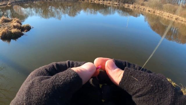 Мормышинг MIFINE Illusion Slash 0.2-0.8, катушка Legency 500. Весенняя ры