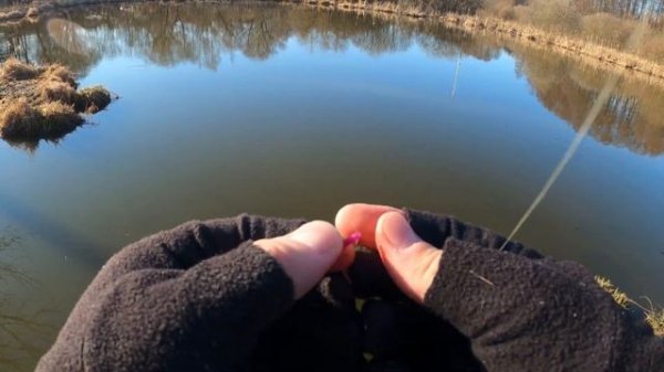 Мормышинг MIFINE Illusion Slash 0.2-0.8, катушка Legency 500. Весенняя ры