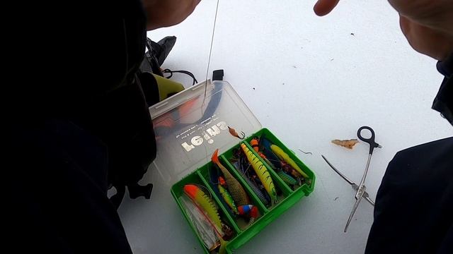 Первая рыбалка на спиннинг. Прогулка по малой реке. Те?