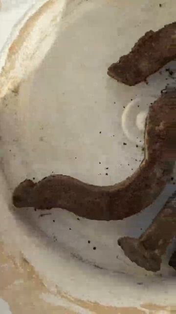 ТХ-850 VS МД 4030 смотреть онлайн