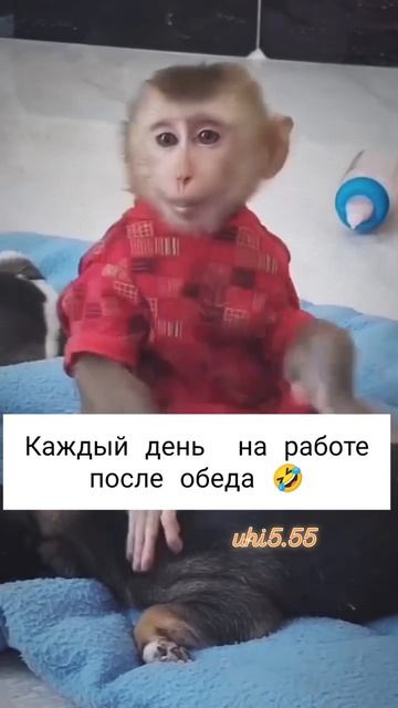 Каждый день на работе после обеда смотреть онлайн