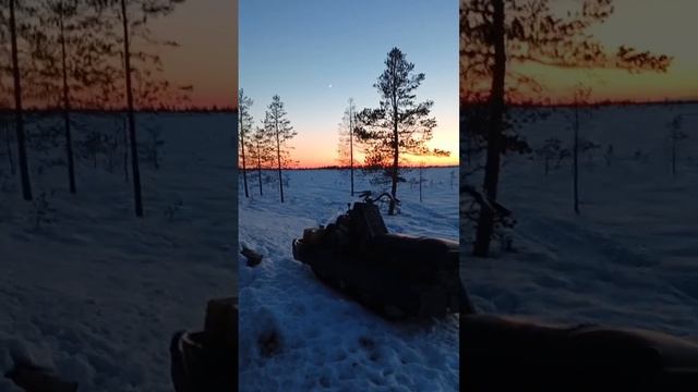 Ямальская охота на гуся смотреть онлайн