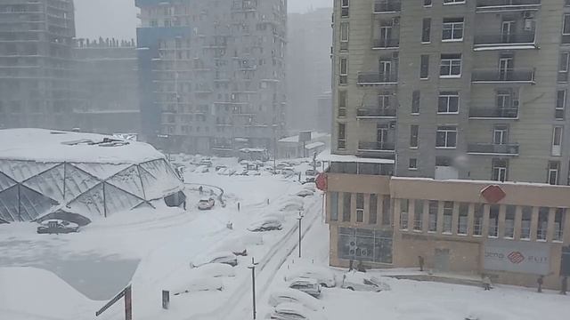 Снежный КОЛЛАПС на Черном Море (Батуми). Бассейн засты? смотреть онлайн