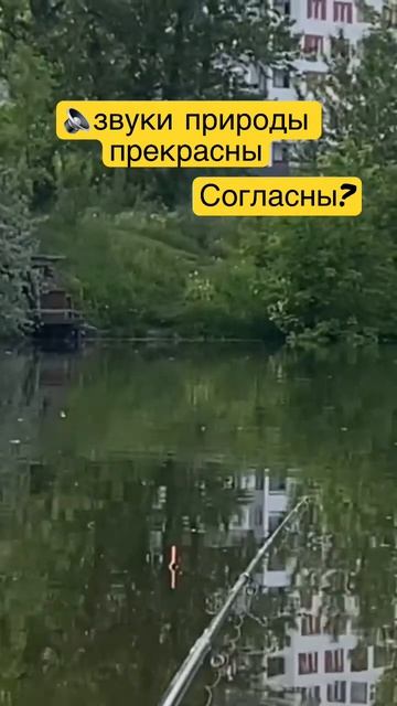 #рыбалка #рыбалка2023 #рыбалканадонки #рыбалкахарьков #fi смотреть онлайн