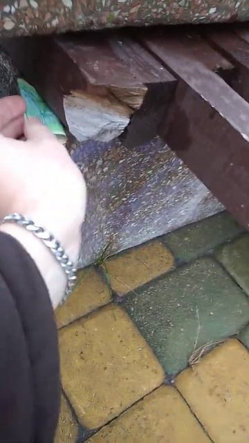 Прячем деньги Брест смотреть онлайн