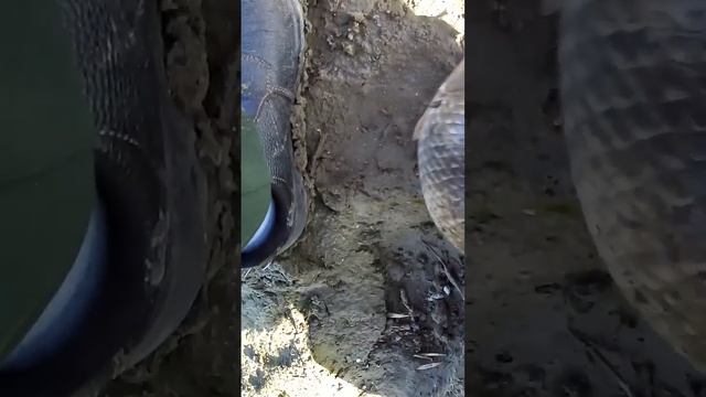 4 апреля 2025 г. смотреть онлайн