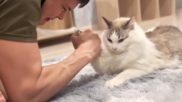 UNUSUAL MEMES COMPILATION V318