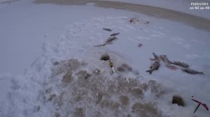 Мирняга. Вот это я называю клевым местом. Часть 1. Зимня