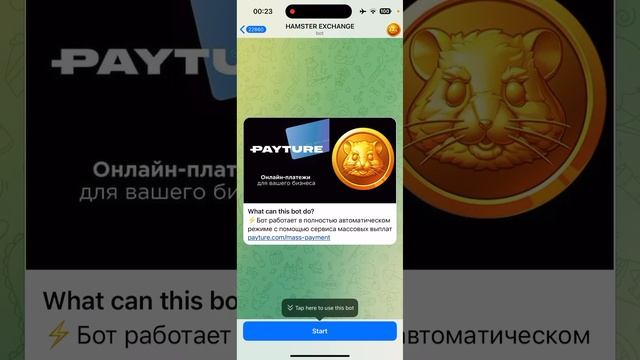 Как Вывести С Hamster Kombat на карту? (Вывод Монет на Банковс