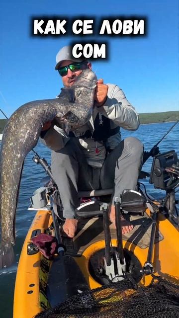 КАК СЕ ЛОВИ СОМ 😍🥰 #риболов#спининг#сом#джиг#искър #tai смотреть онлайн