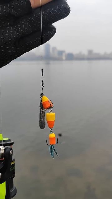 Путешествуем c Владимиром Волошиным TRAVEL video