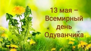 13.05.25 - Всемирный День одуванчика