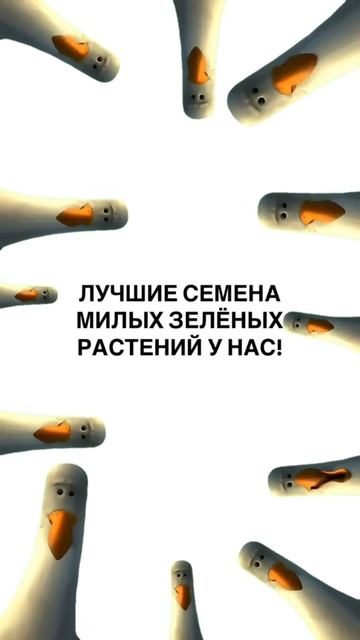 #семяныч #семена #420 #гровинг #подборки смотреть онлайн