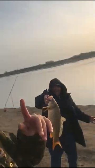 Шардара удевляет свойми трофеями 08.04.2022. смотреть онлайн