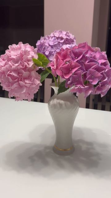 #hydrangea #гортензия #garden #гортензія #flowers #park#jardin #アジサイ#ajis