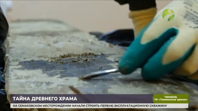 В Тюмени изучают останки, найденные в Спасской церкви смотреть онлайн