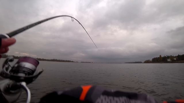 ЭТОТ СЛАГ СДЕЛАЛ РЫБАЛКУ! СУДАКИ КЛЮЮТ НА КАЖДОМ ЗАБРО