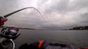 ЭТОТ СЛАГ СДЕЛАЛ РЫБАЛКУ! СУДАКИ КЛЮЮТ НА КАЖДОМ ЗАБРО