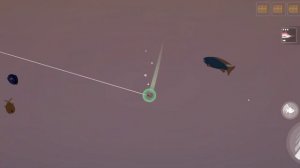 Поймал СИНЕГО КИТА и КАСАТКУ! Рыбалка и Жизнь (Fishing & Life)