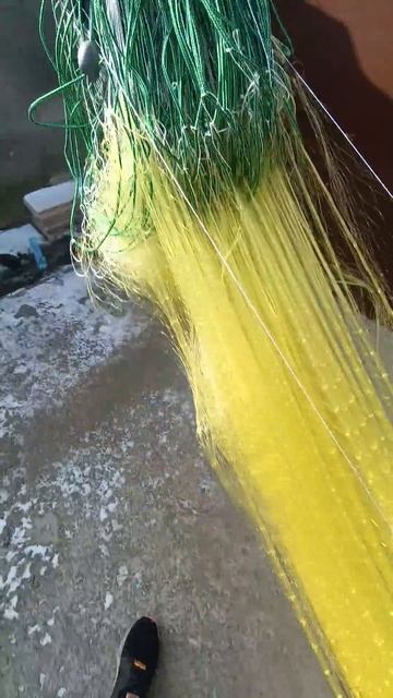 36 мм. #косорама #рыбалка #сети смотреть онлайн