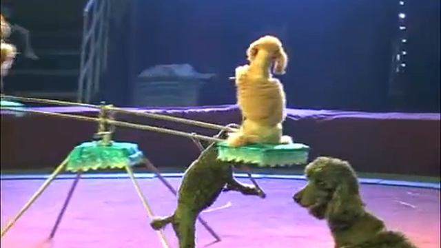 каз Цирк смотреть онлайн