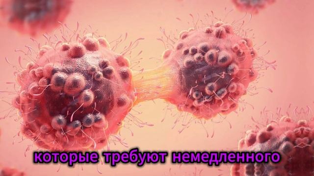 "Запах СМЕРТИ: как организм КРИЧИТ о РАКЕ, пока вы этог? смотреть онлайн