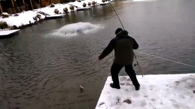 Форель на платнике смотреть онлайн