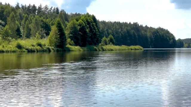 ТОПВОТЕРЫ дают рекордного ГОЛАВЛЯ! смотреть онлайн