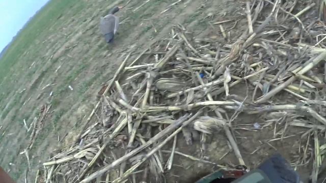 Шикарнейшая охота на гусей в Беларуси 2025 смотреть онлайн