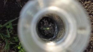 Копаю котлован под БАНЮ.