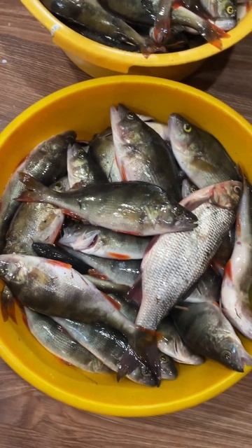 Рыбалка 2023 Класс 👍. Наконец то то что ожидали, можно с? смотреть онлайн