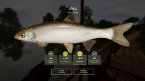 РР4 Гайд для новичков - Зачем нужен подсак? - Русская Ры?