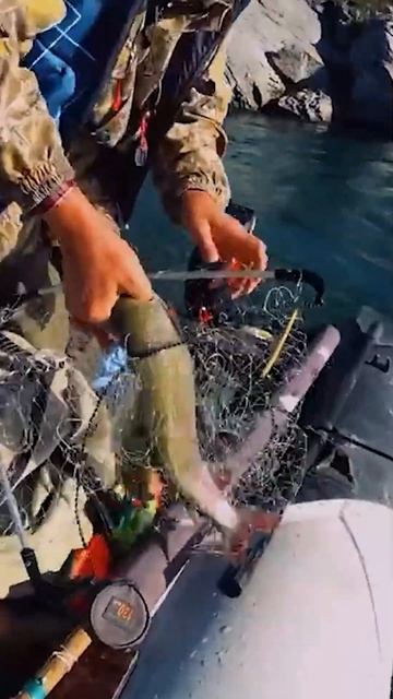 🤔 Улов на Крайнем Севере. Ямал #янао #рыбалка #природа