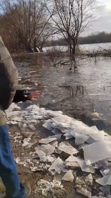 Лед вышел за берега .Дон. смотреть онлайн