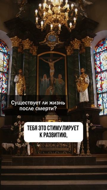 Существует ли жизнь после смерти? 🙌🏻 #жизнь #смерть #? смотреть онлайн