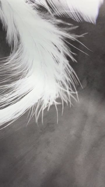 Видео с производства. Артикул Fe-045 смотреть онлайн