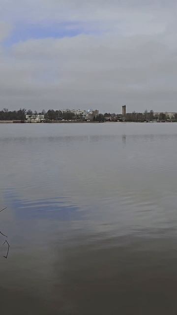 #рыбалка #рыбалканафидер #втоп #брат смотреть онлайн