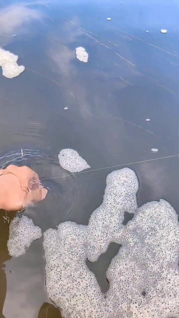 Как вам такой вариант установки кружков? #рыбалка #fishing смотреть онлайн