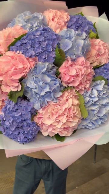Гортензия 17 шт 1 #цветымосква #доставкацветов#гортензи смотреть онлайн
