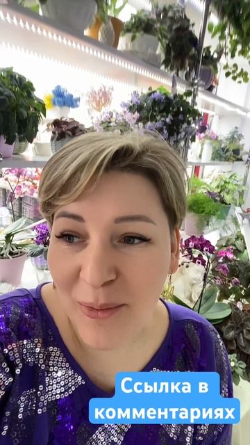 Украинский форум фиалок ссылка в комментариях. #фиалк?