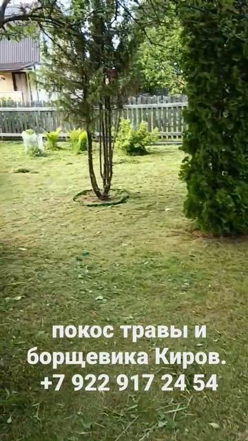 ПОКОС БОРЩЕВИКА И ТРАВЫ КИРОВ. смотреть онлайн