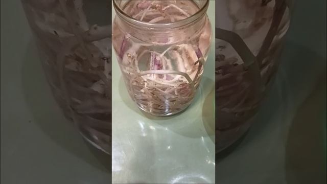 Стимулятор роста смотреть онлайн