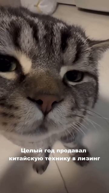 Неожиданные последствия: продажа китайской техники #с смотреть онлайн