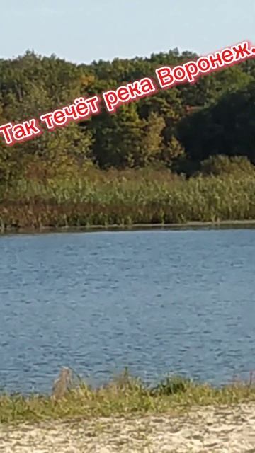 Так течёт река Воронеж. смотреть онлайн