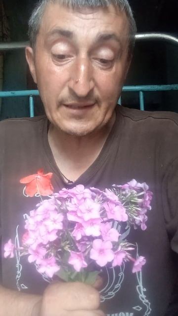 стих на планете Земля есть страна смотреть онлайн