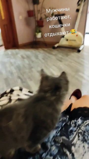 Есть три вещи на которые можно смотреть бесконечно 😂? смотреть онлайн