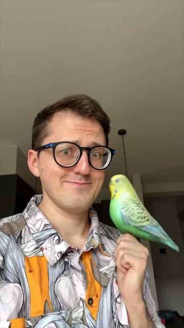 ВТОРАЯ КОЛЛЕКЦИЯ ИГРУШЕК смотреть онлайн