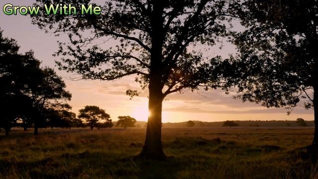 Как современная женщина выбирает себе мужчину? Мужчин смотреть онлайн