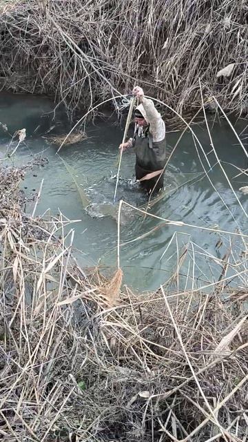 С новым годом😀🎉🎉 01.01.2025.