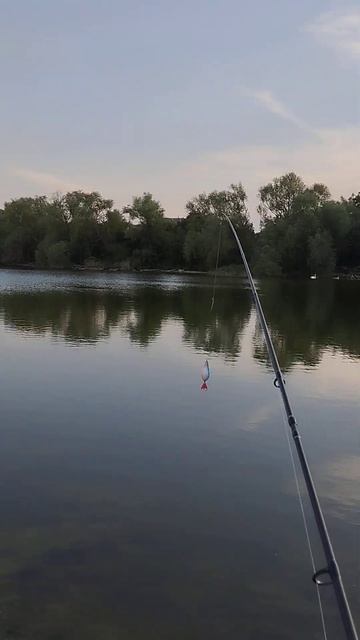 #рыбалканапруду #fishing #спиннинг #carpfishing #nature #щука #рыбал смотреть онлайн
